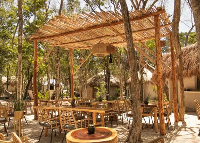 The Yellow Nest 5*